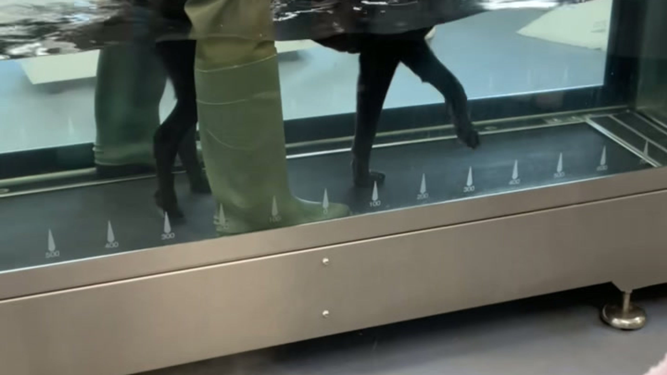 Underwater Treadmill